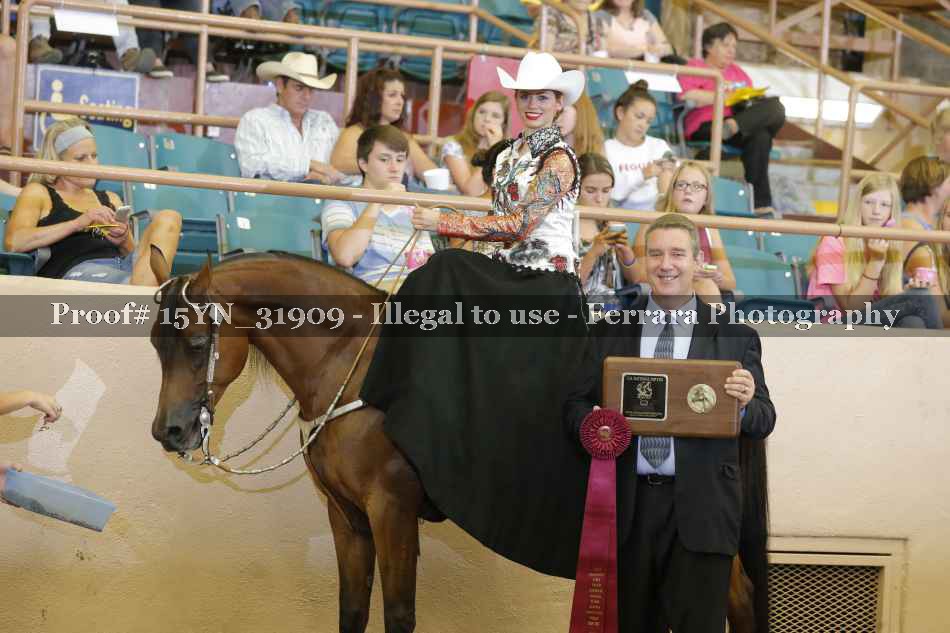 Proof 15YN_31909