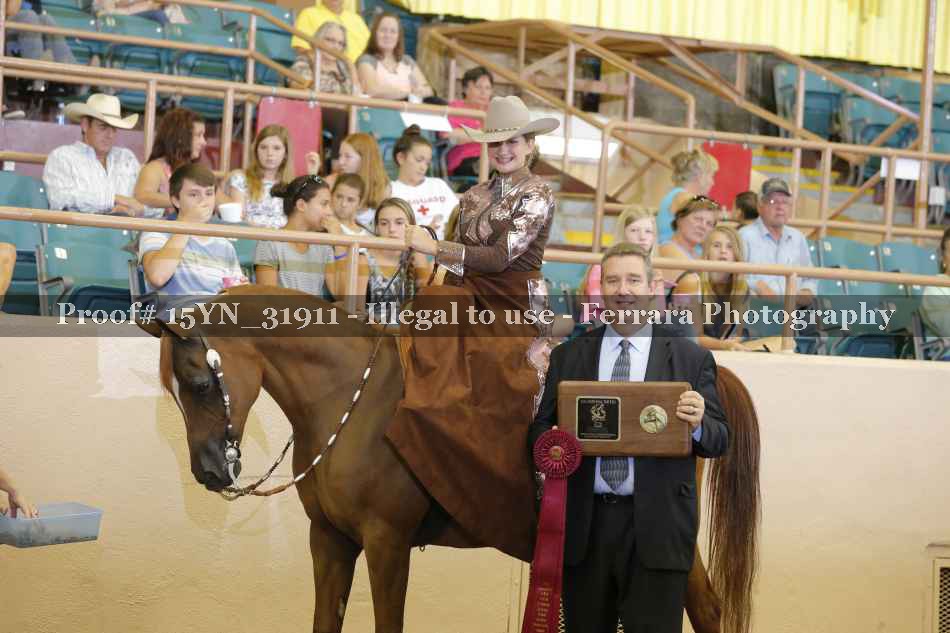 Proof 15YN_31911