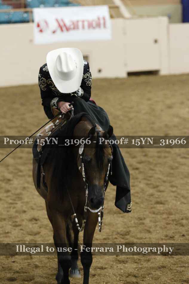 Proof 15YN_31966