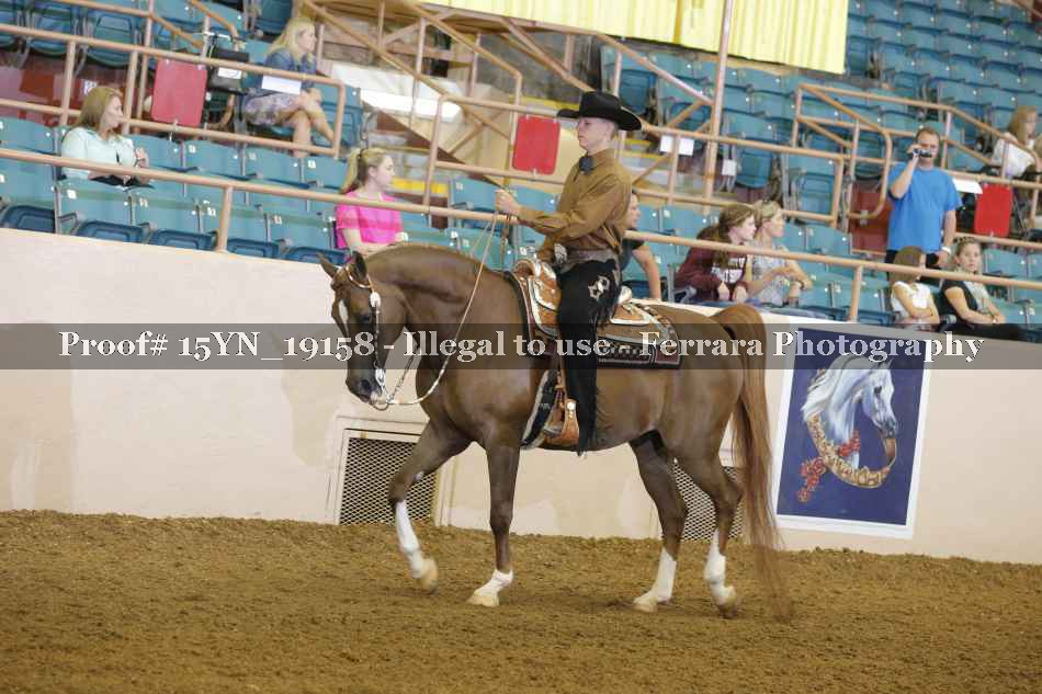 Proof 15YN_19158