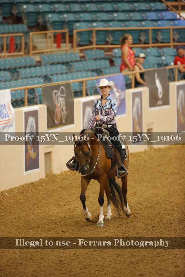 Proof 15YN_19166