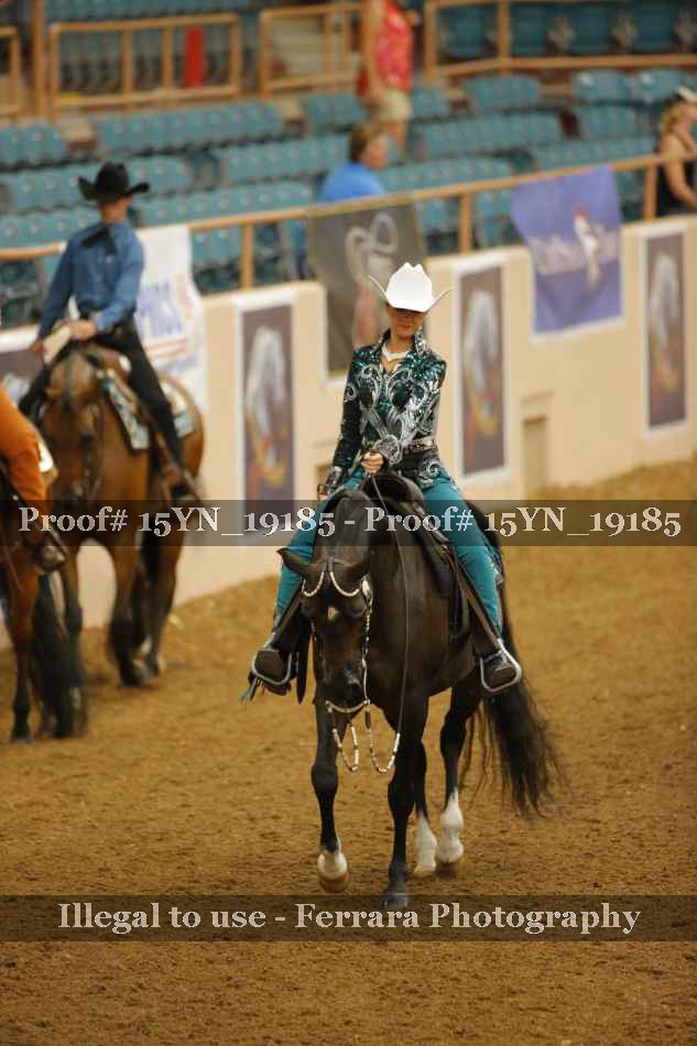 Proof 15YN_19185