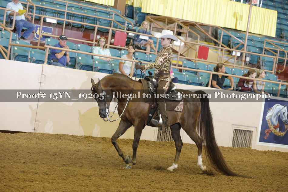Proof 15YN_19205