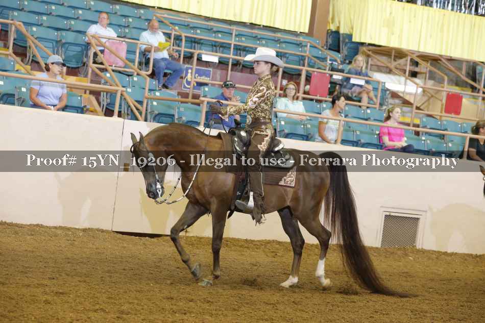 Proof 15YN_19206