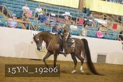 15YN_19206 proof