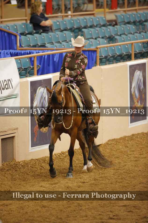 Proof 15YN_19213