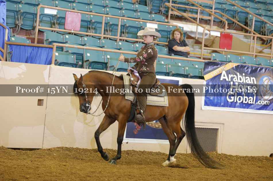 Proof 15YN_19214