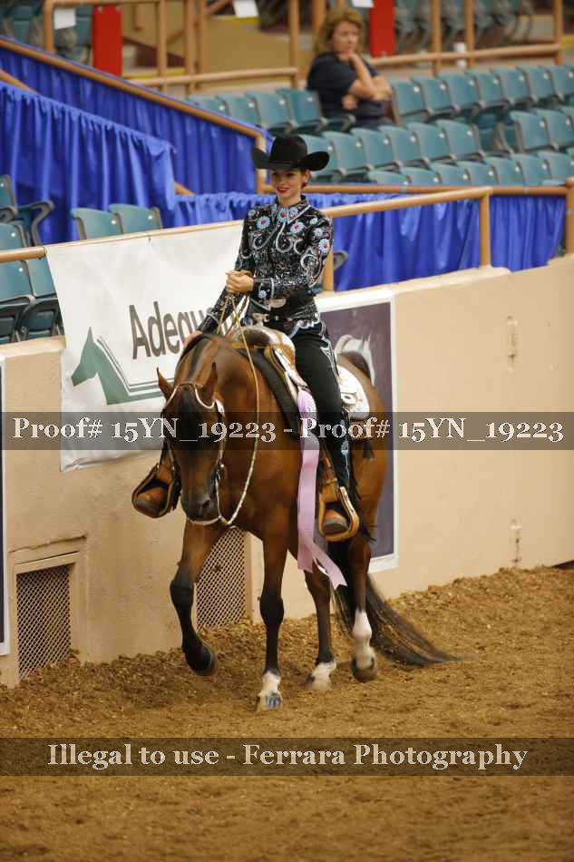 Proof 15YN_19223