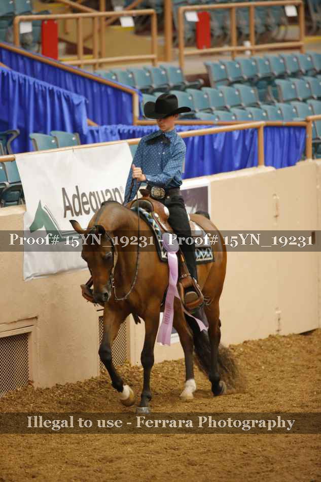Proof 15YN_19231
