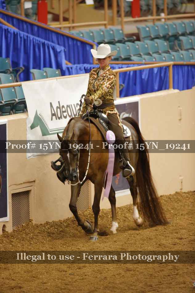Proof 15YN_19241