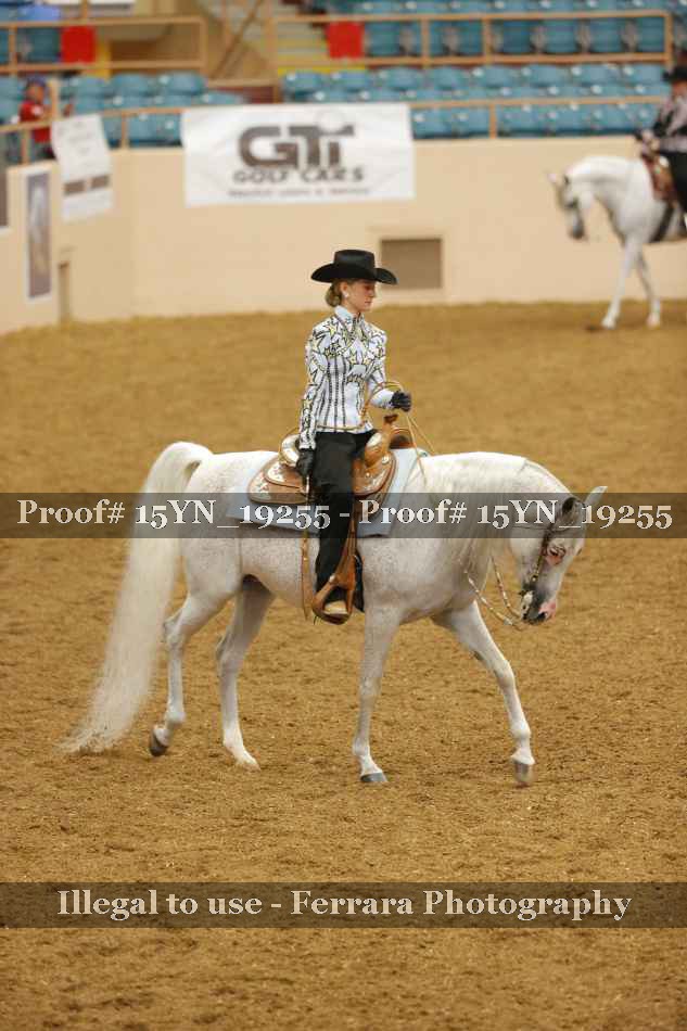 Proof 15YN_19255