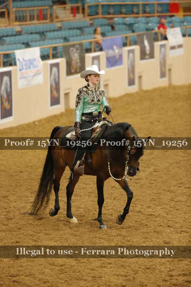 Proof 15YN_19256