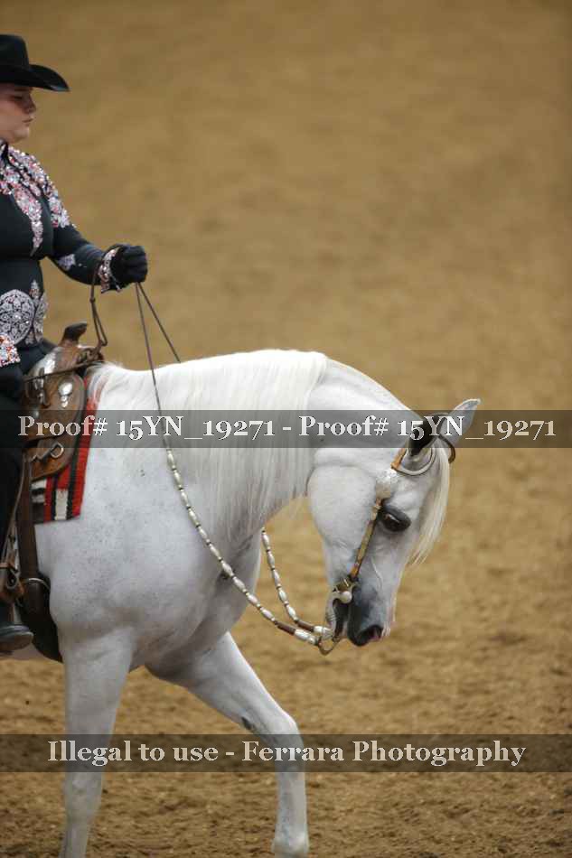 Proof 15YN_19271