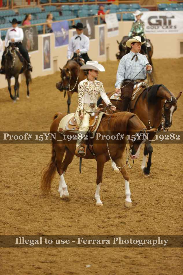 Proof 15YN_19282