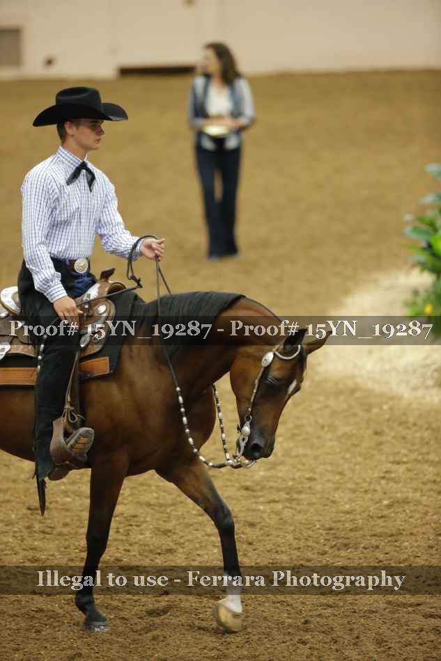 Proof 15YN_19287