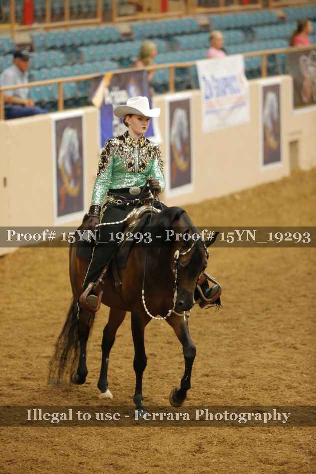 Proof 15YN_19293