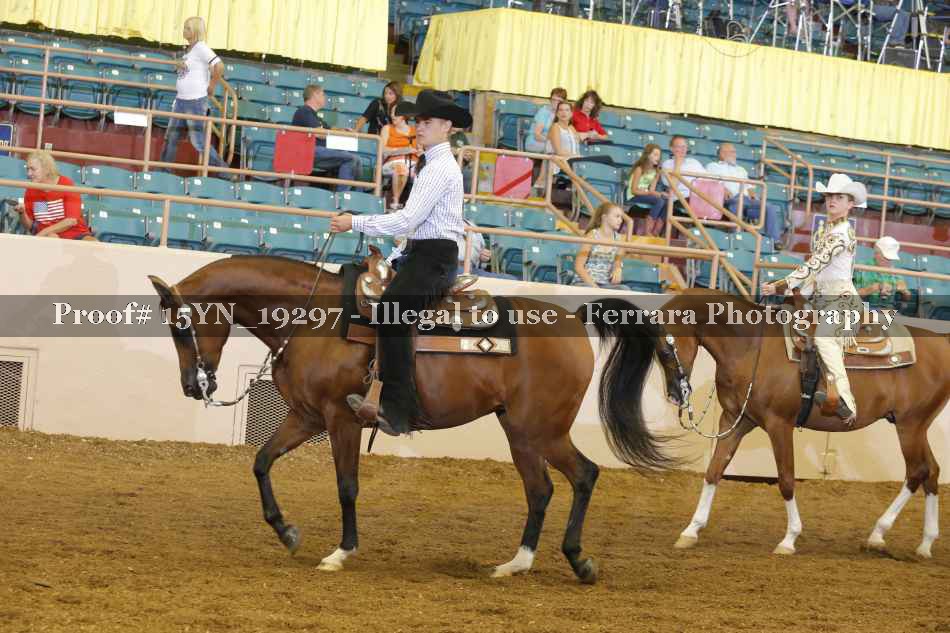 Proof 15YN_19297