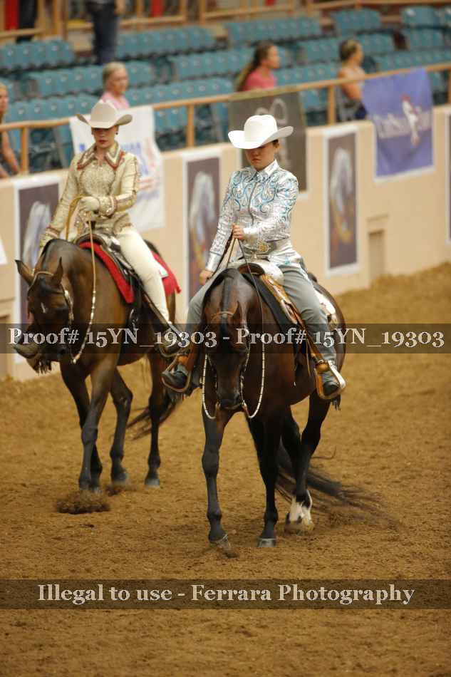 Proof 15YN_19303