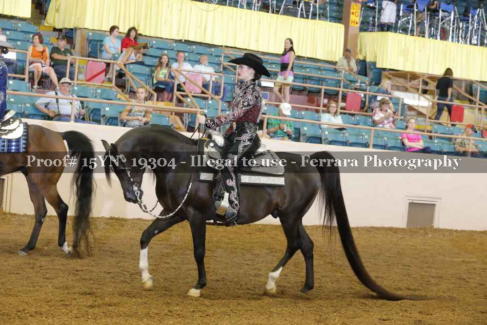 Proof 15YN_19304