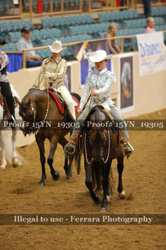 Proof 15YN_19305
