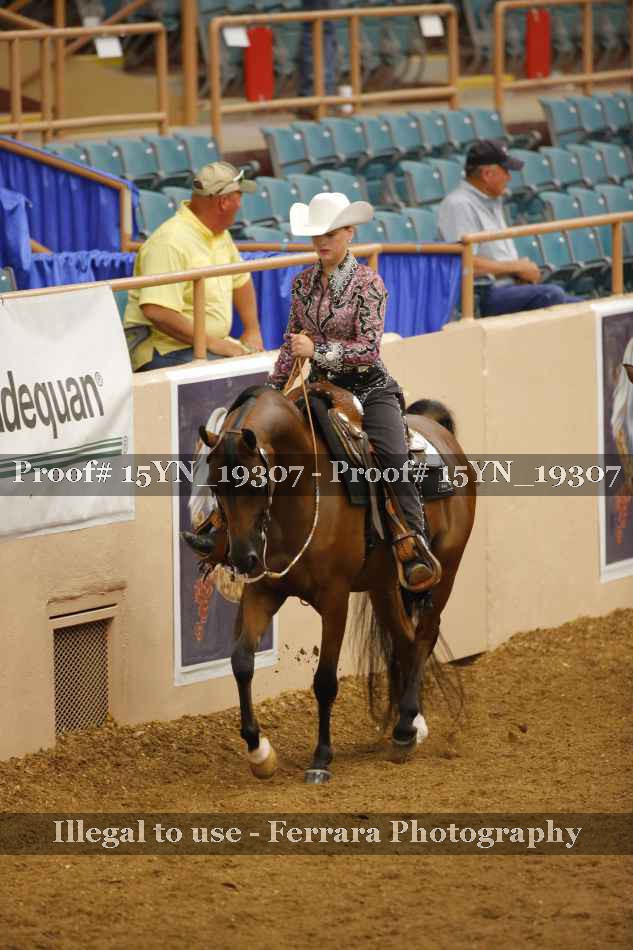 Proof 15YN_19307