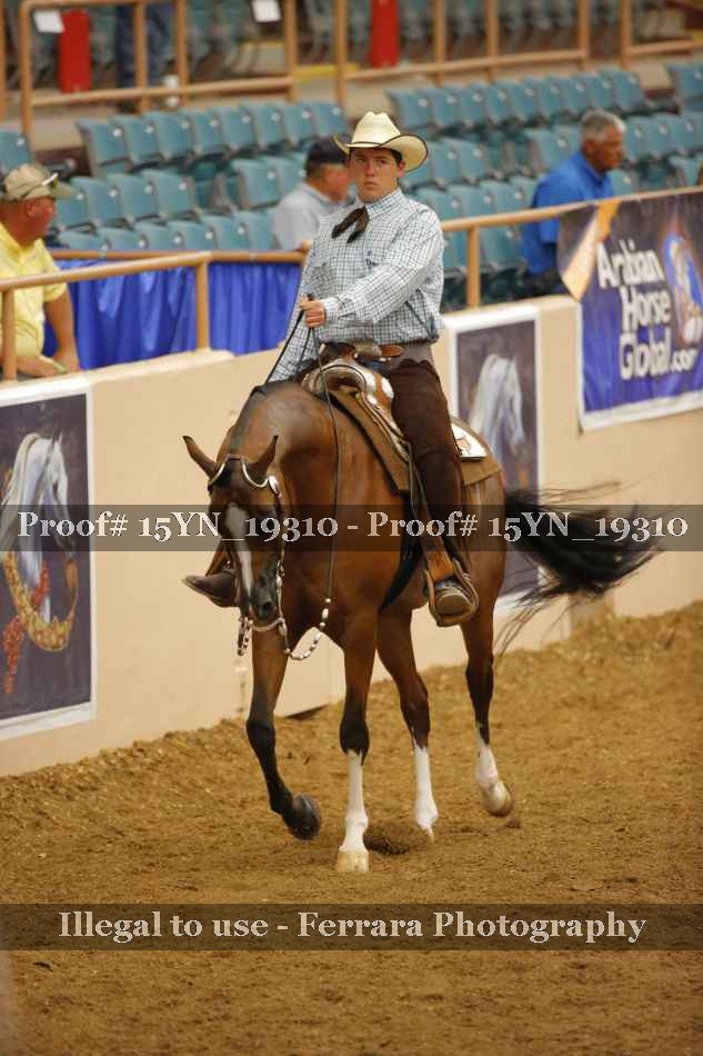 Proof 15YN_19310