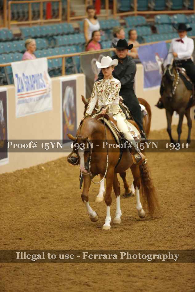 Proof 15YN_19311