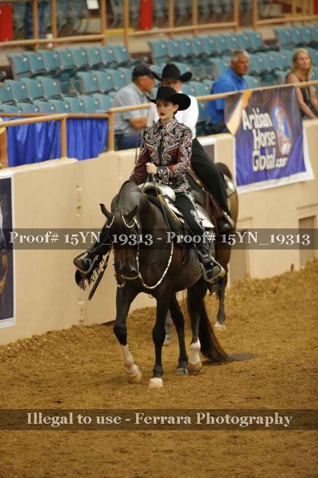 Proof 15YN_19313