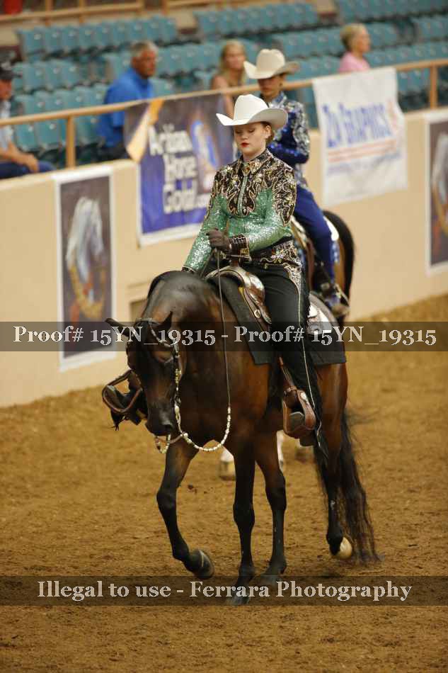 Proof 15YN_19315