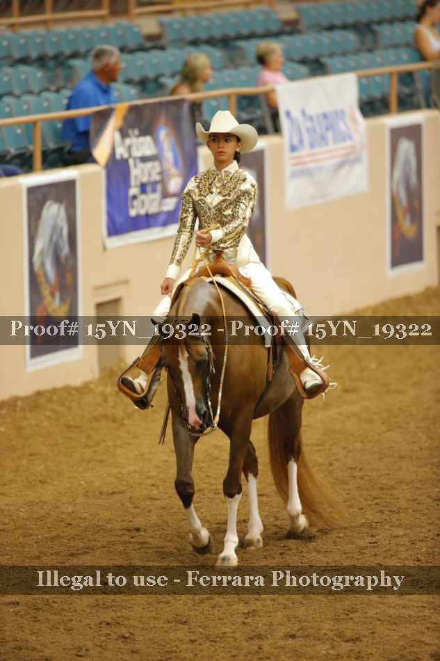 Proof 15YN_19322