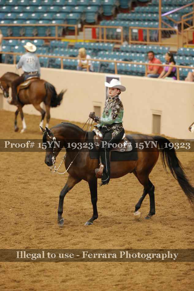 Proof 15YN_19323