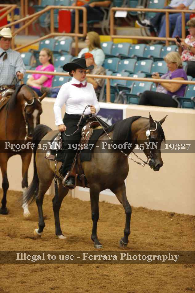 Proof 15YN_19327