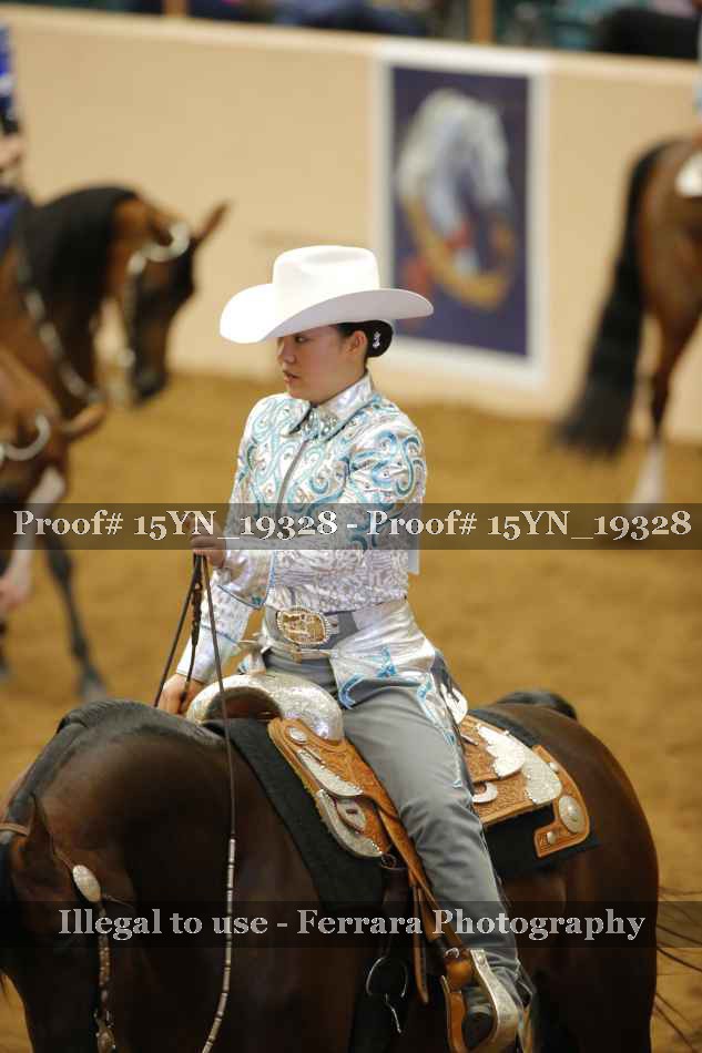 Proof 15YN_19328