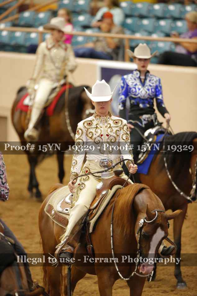 Proof 15YN_19329
