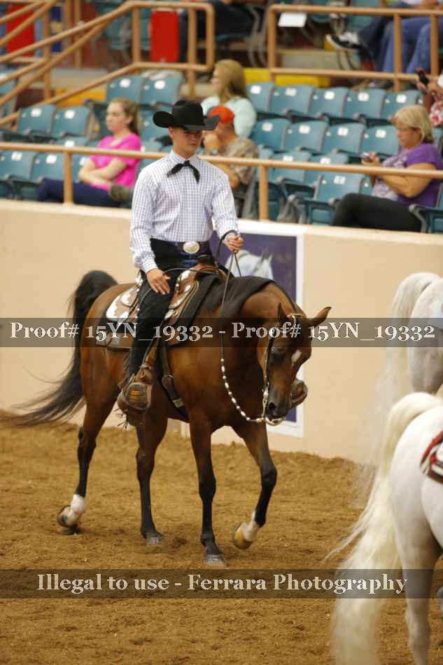 Proof 15YN_19332