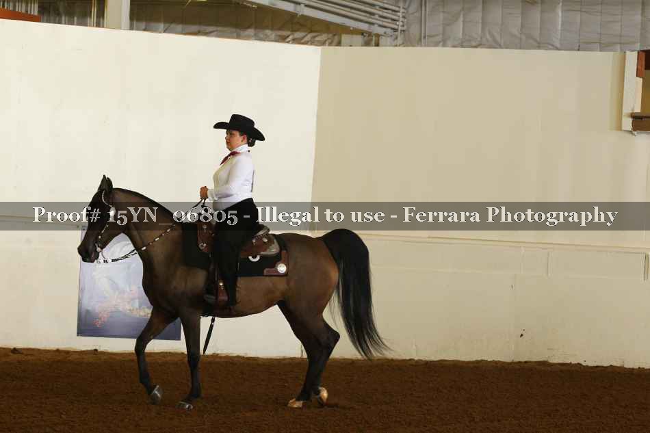 Proof 15YN_06805