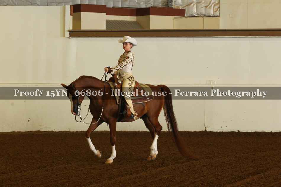 Proof 15YN_06806