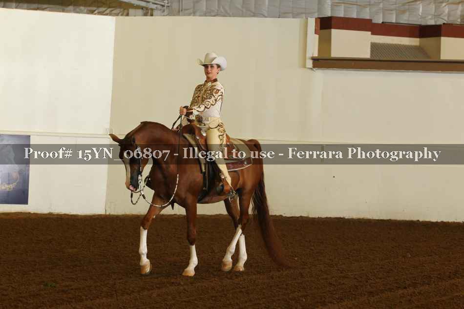 Proof 15YN_06807