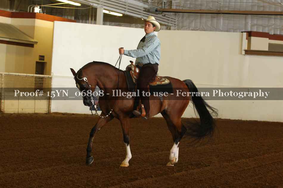 Proof 15YN_06808