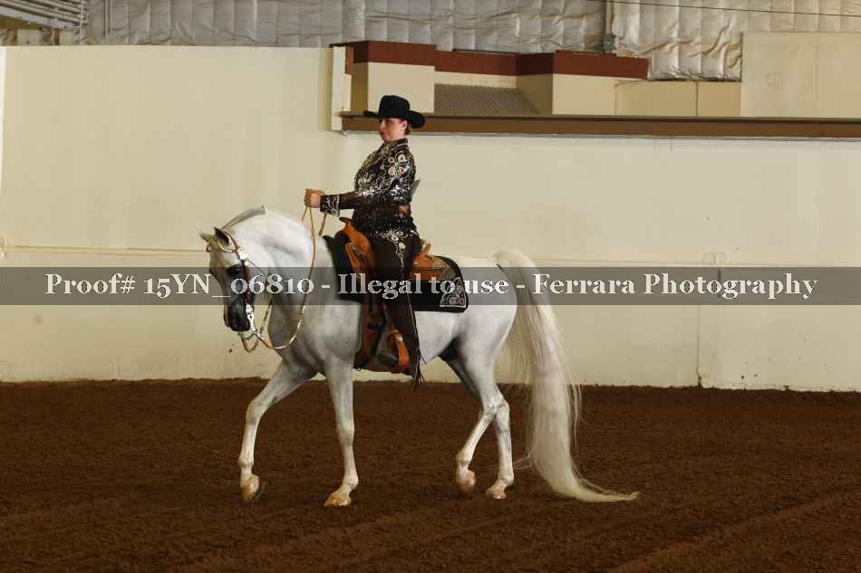 Proof 15YN_06810