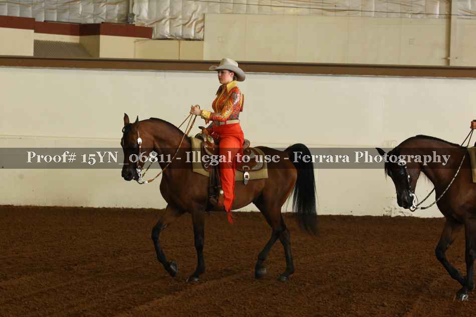 Proof 15YN_06811