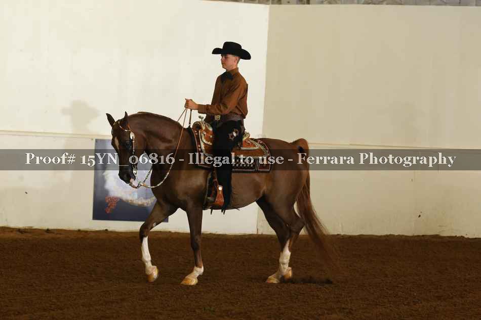 Proof 15YN_06816