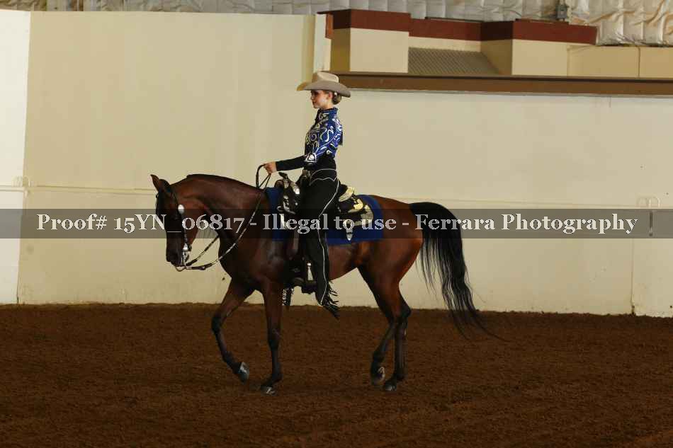 Proof 15YN_06817