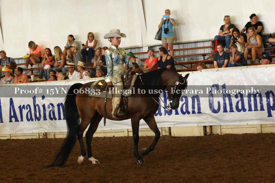 Proof 15YN_06833