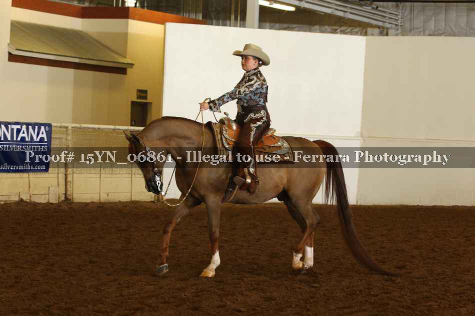Proof 15YN_06861