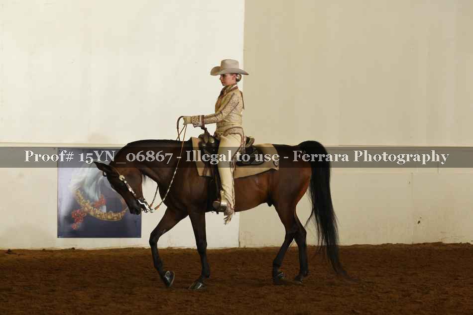 Proof 15YN_06867