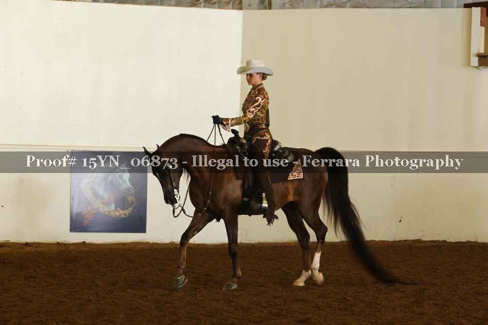 Proof 15YN_06873