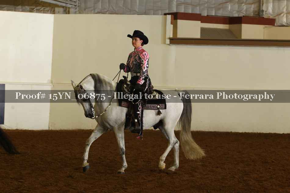 Proof 15YN_06875