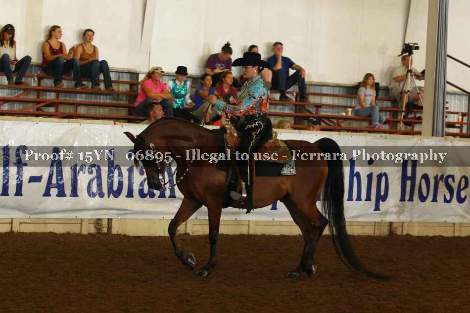 Proof 15YN_06895