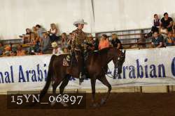 15YN_06897 proof